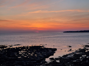 Photo n°15 de le cote de beauté à Meschers-sur-Gironde (Agence d'excursions en bateau)