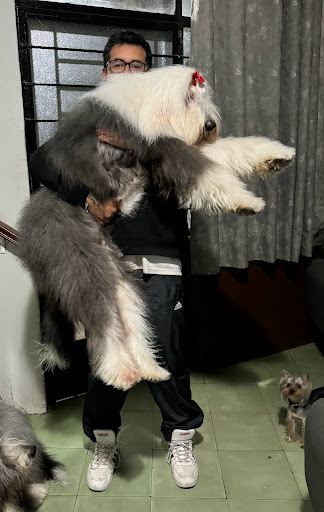 Mascotitlán - Visual