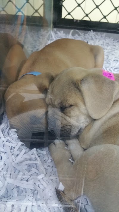 Photos of Petbarn Mackay