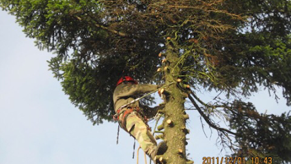 Monsieur Gallet entretien parcs et jardins
