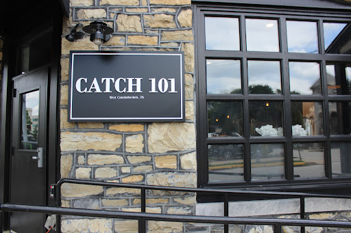 Catch 101 - Visual