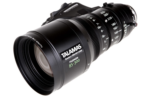 Talamas - Visual