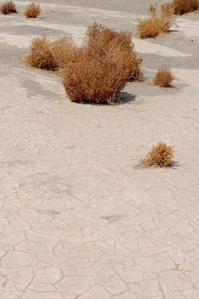 Mesquite Flat Sand Dunes