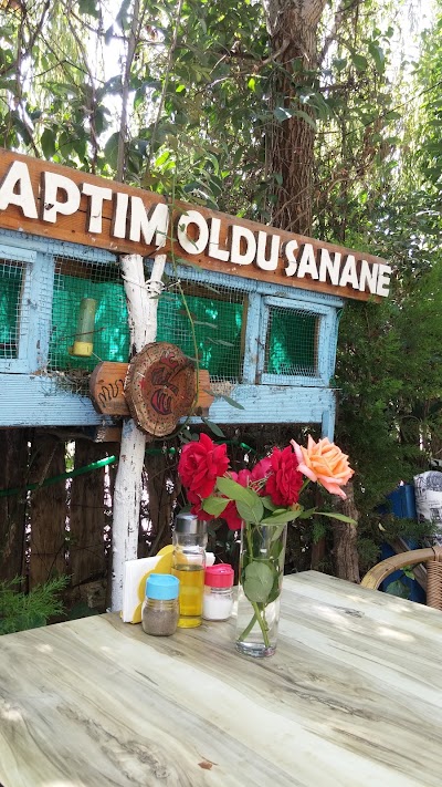 Photos of Ala Guest House