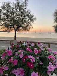 Photo n°66 de Bistr'Eau Ryon à Le Lavandou (Restaurant méditerranéen)