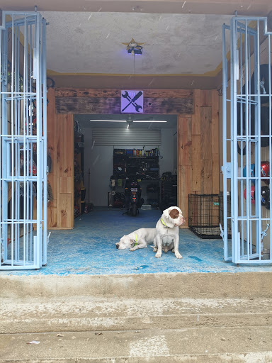 Buena onda motors Gallery - Mexico