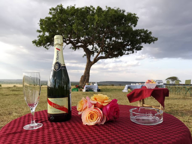 Mara Simba Lodge by null