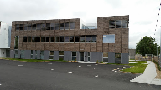 PATRICE CLUIS