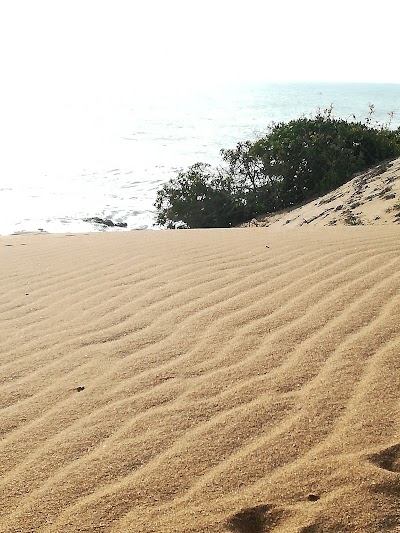 Photos of Governor's Camp Yala