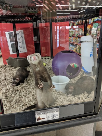 Petco