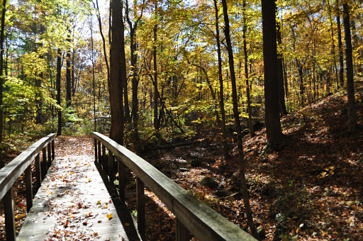 HopeWood Pines (Lutheran Memorial Camp) Gallery - United States