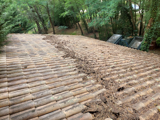 Photo de ATTILA à Gaillan-en-Médoc (33340)