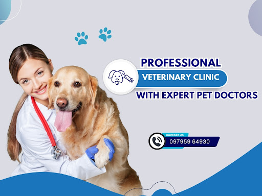 Professional Veterinary Clinic with Expert Pet Doctors post image