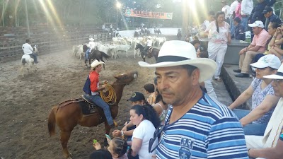 Photos of El Milenio Park