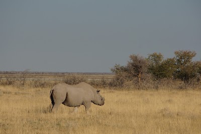 Photos of Onguma Game Ranch Lodge