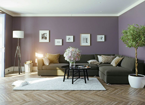 J & E Paint and Drywall - United States