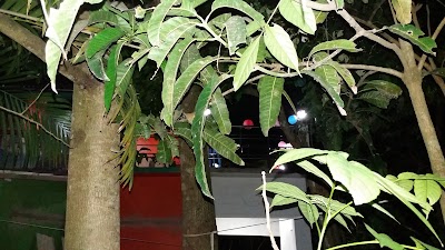 Photos of Jhalokathi Pouro Mini Park (ঝালকাঠি পৌর মিনি পার্ক)