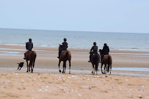 Photo n°6 de Écurie des Monts - Le Hom Equitation à Thury-Harcourt-le-Hom (Centre équestre)