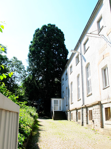 Glaubenszentrum Pirmasens - Thumbnail