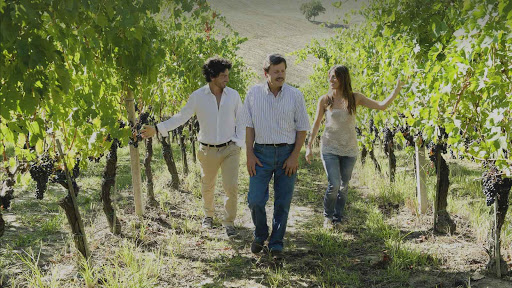 Vicari Vini - Visual