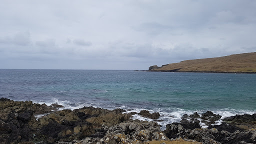 Norwick - Visual