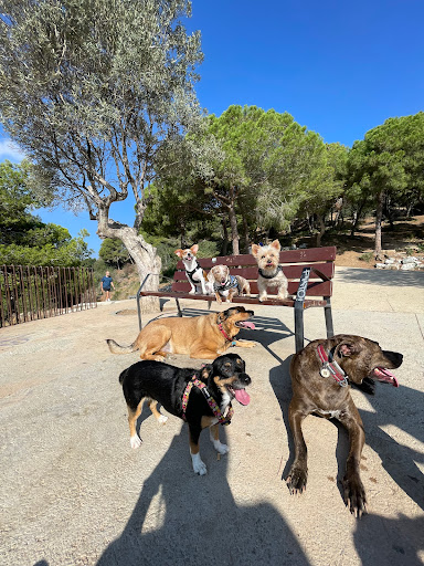 Hotel para perros Stacy Guarderia Canina