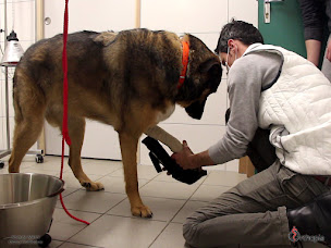 Photo n°19 de Orthopia à Limours (Conseiller santé)