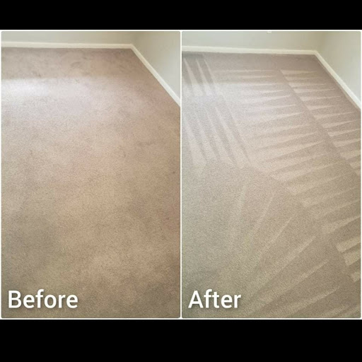 Hawkins Carpet Cleaning Gallery - United States