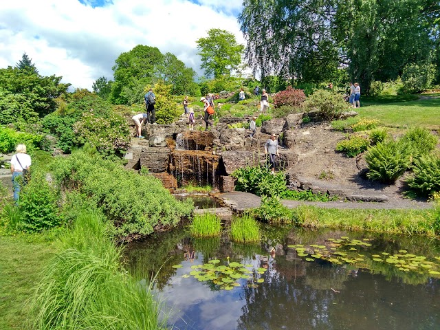 Universitetets Botaniske hage