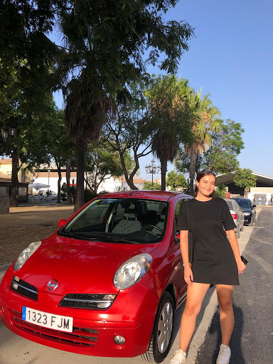 Collauto Motor - Visual