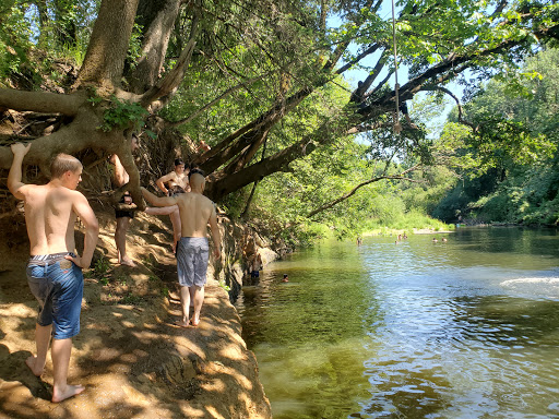 Tarzan’s Tree - Visual