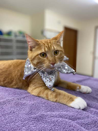 Lindquist Veterinary Center