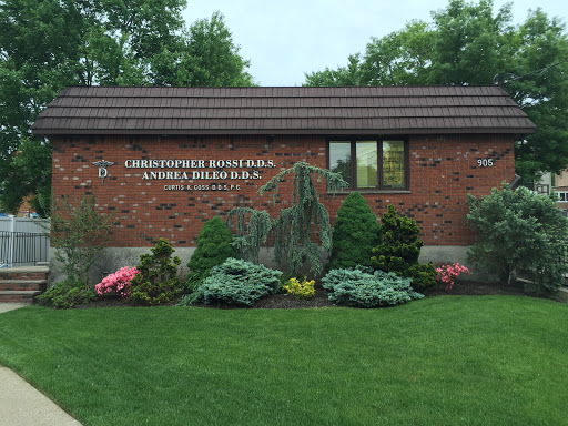 Rossi & DiLeo Dentistry, PC