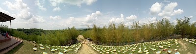Photos of Quantum Aroggoshala