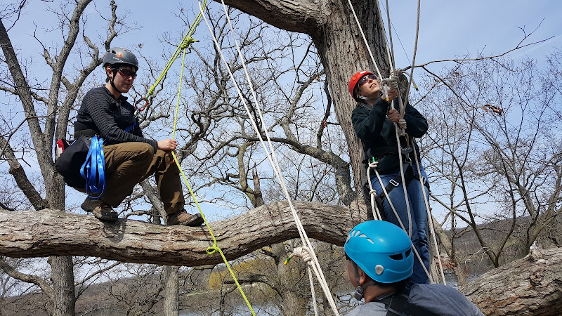 Treetop Explorer LLC