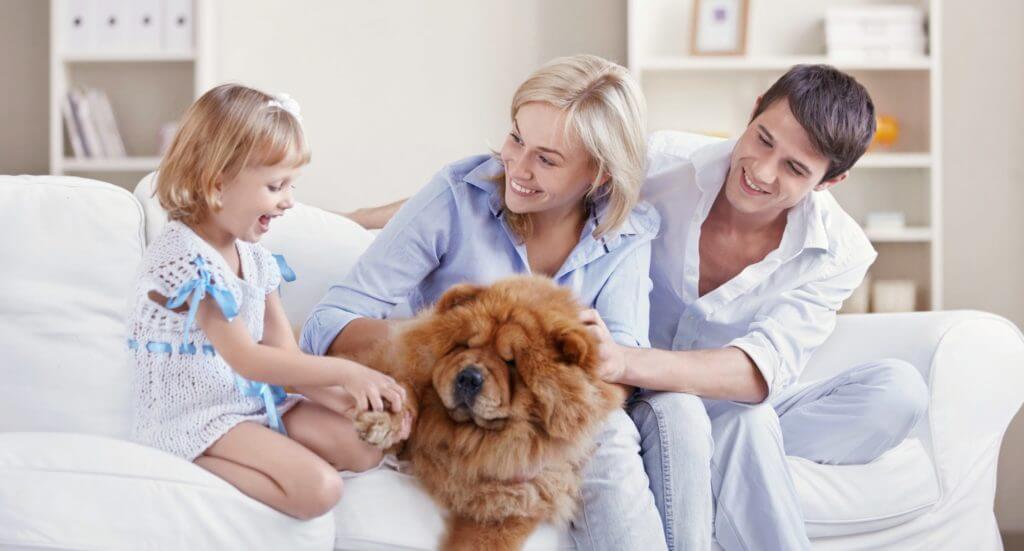 Genesis Healthy Homes photo