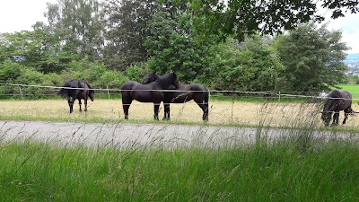 Photos of Schauinsland