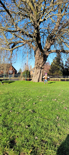 Orsett playground and Outdoor Gym - Thumbnail