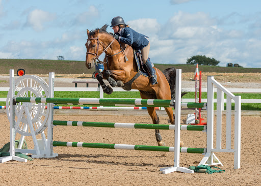 Chard Equestrian - Visual