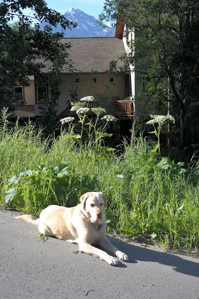 Eagle Peak Guesthouse