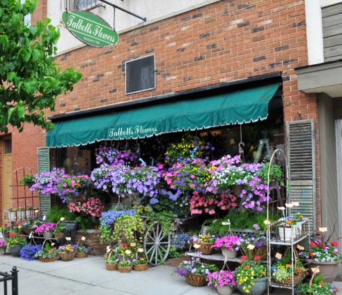 Talbott’s Flowers - Visual