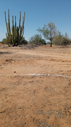 SANTIX RANCH - Visual