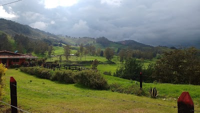 Photos of Fonda La Bodega