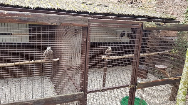 La Volerie des Aigles