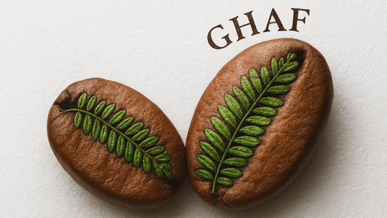 Ghaf Speciality Cafe ajman ، غاف سبيشاليتي كافيه عجمان ، غاف سبيشاليتي عجمان - صورة 2