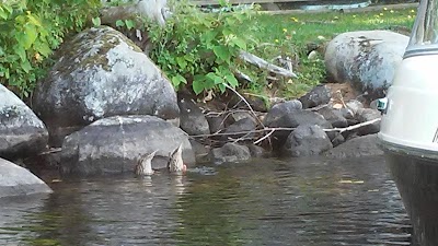 Photos of Sunny Shore Camps