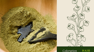 Photo n°3 de HC Coiffure à Marmande (Salon de coiffure)