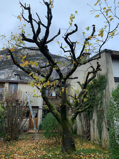 Photo de ISERE CLEAN PAYSAGISTE CONSEIL à Villard-Bonnot (38190)