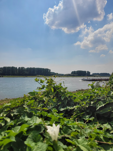 site_photo2