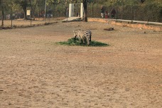 Islamabad Zoo